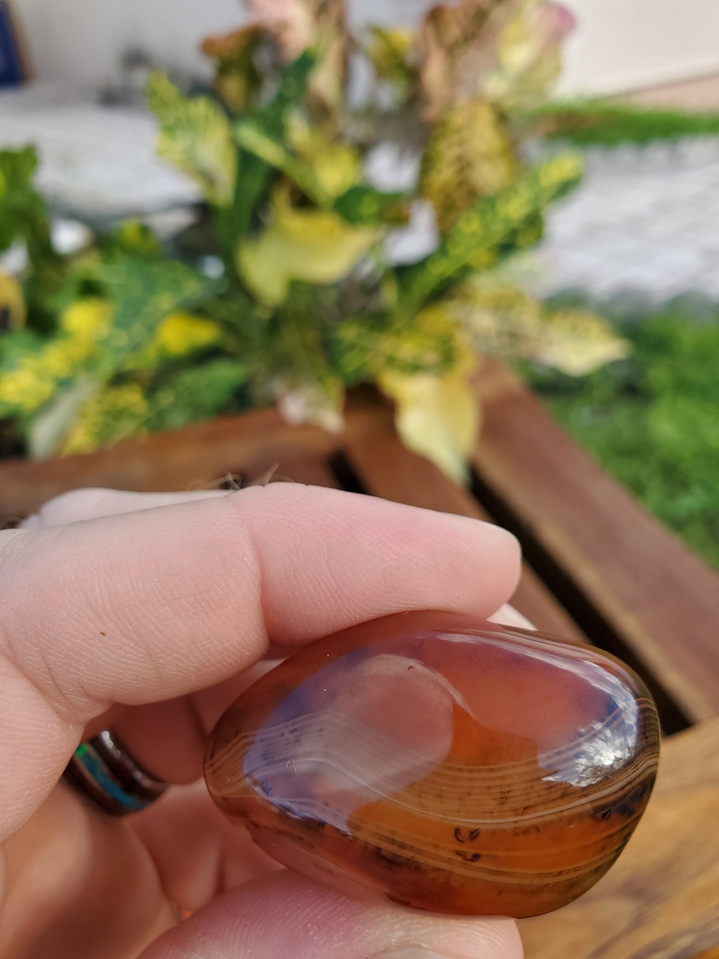 Piedra de palma de ágata de encaje de seda 57,0 g Piedra natural