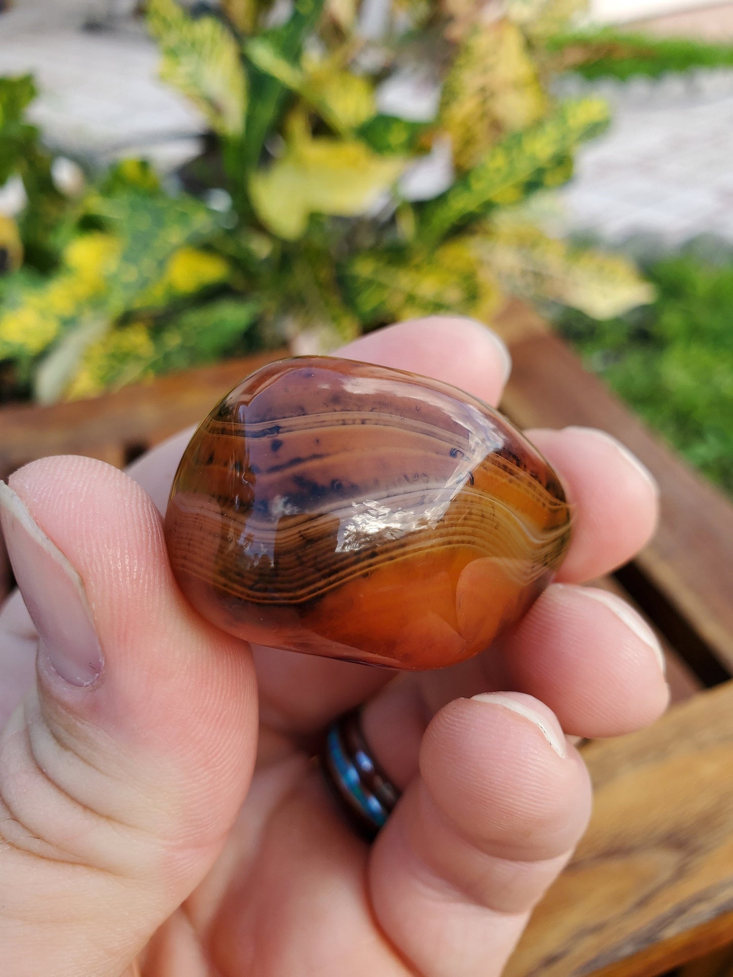 Piedra de palma de ágata de encaje de seda 57,0 g Piedra natural
