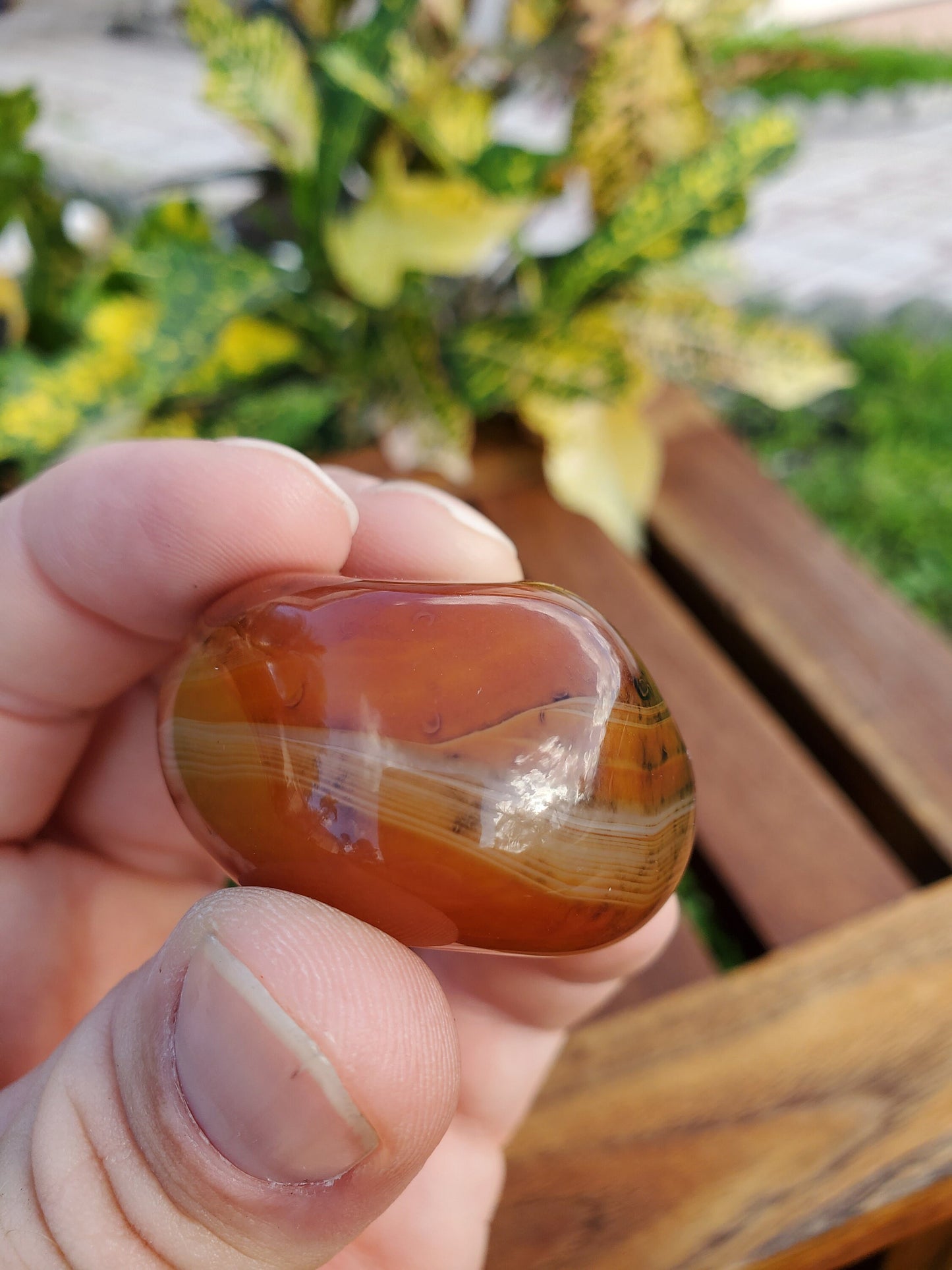 Piedra de palma de ágata de encaje de seda 57,0 g Piedra natural