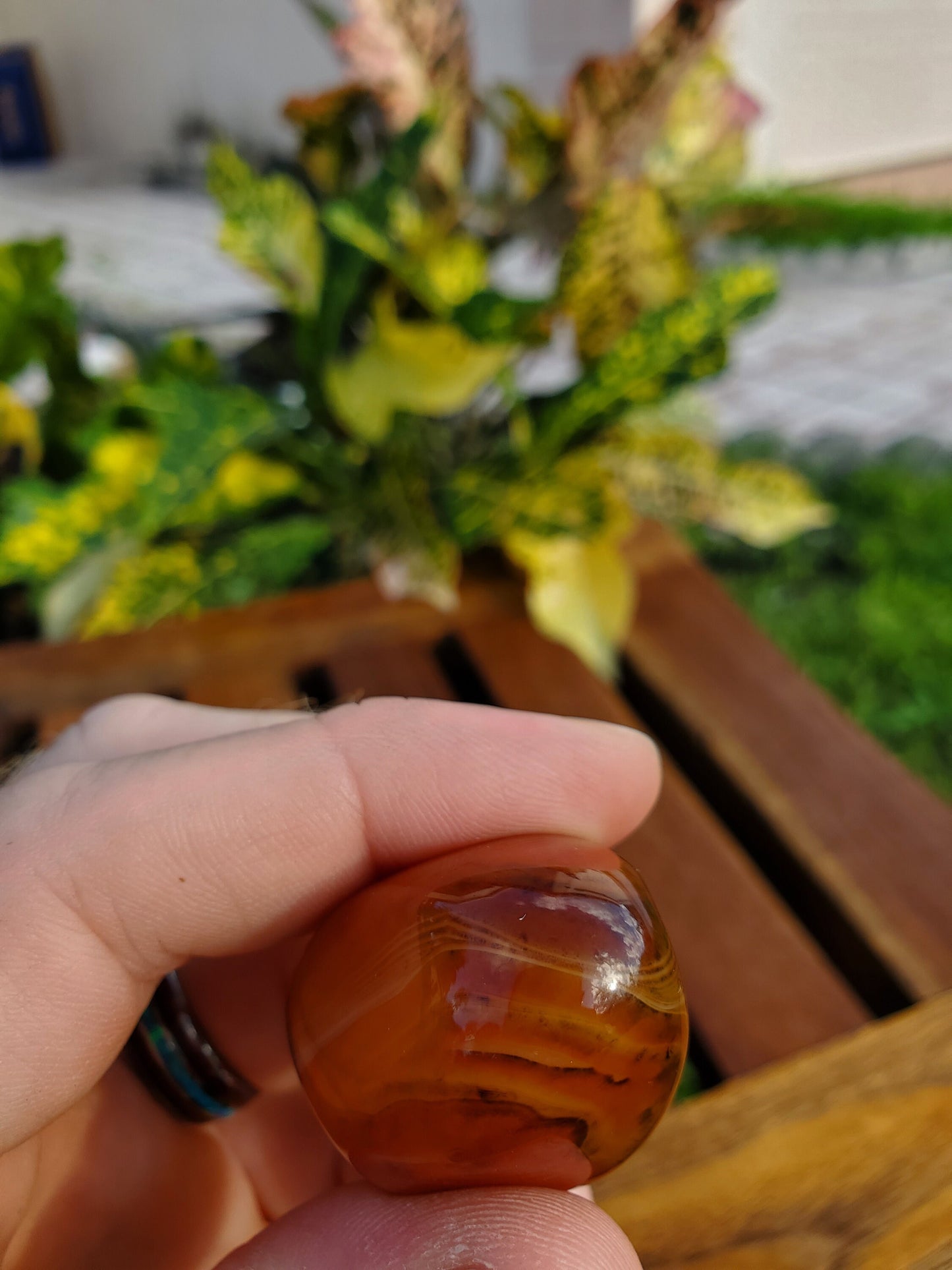 Piedra de palma de ágata de encaje de seda 57,0 g Piedra natural