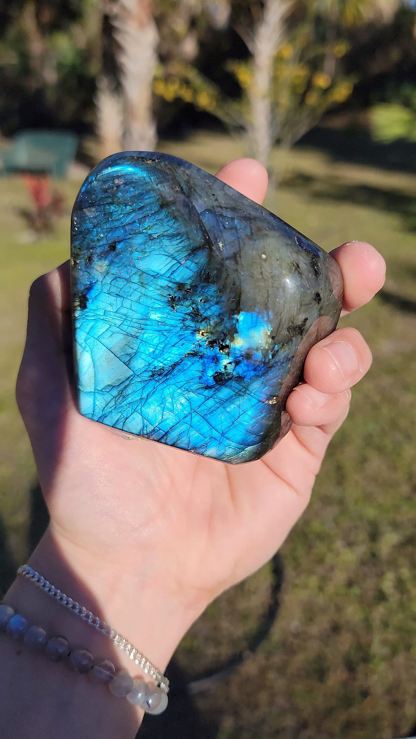 Impresionante Labradorita Azul Destello Forma Libre 21 oz Piedra Natural