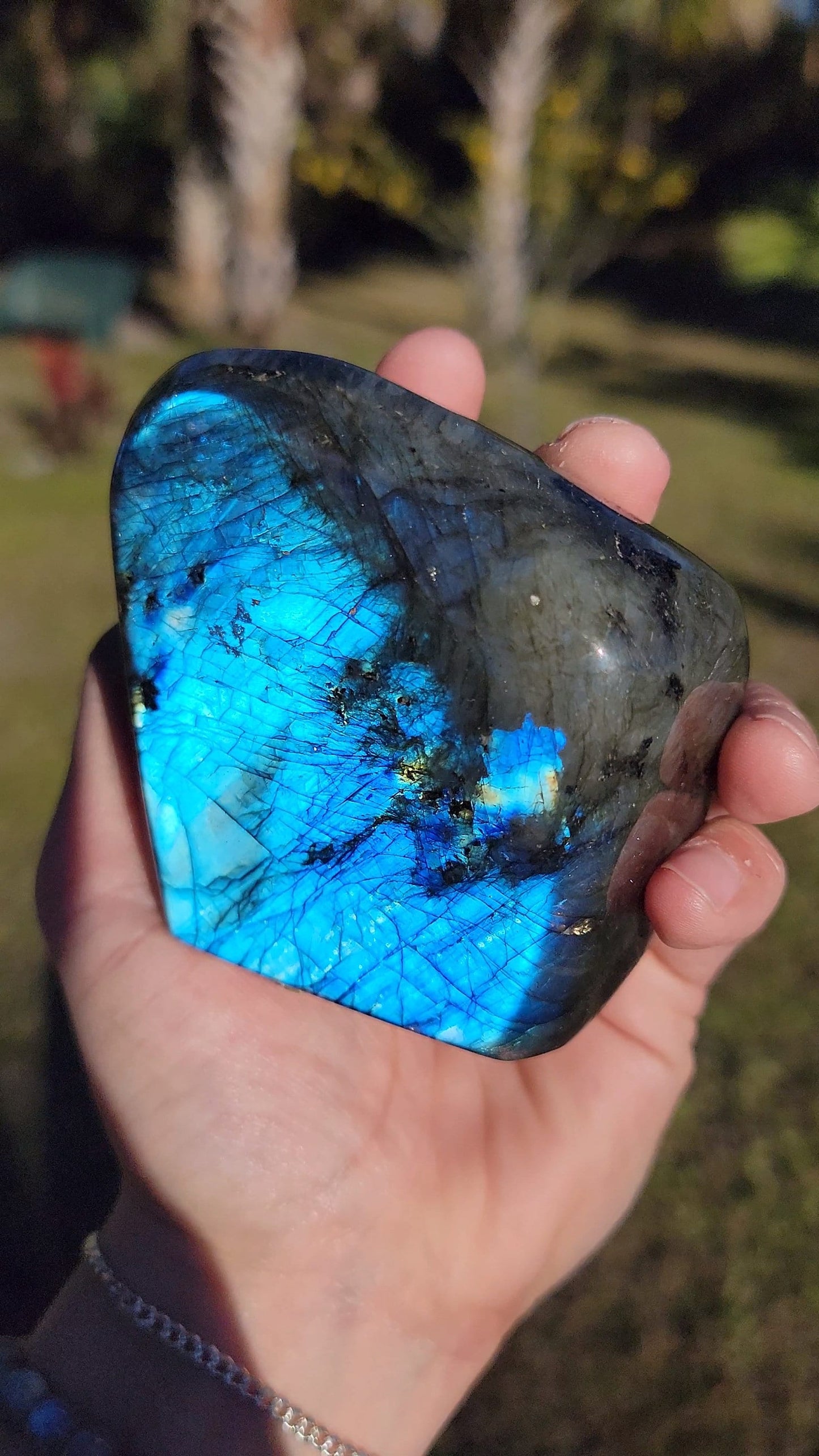 Impresionante Labradorita Azul Destello Forma Libre 21 oz Piedra Natural