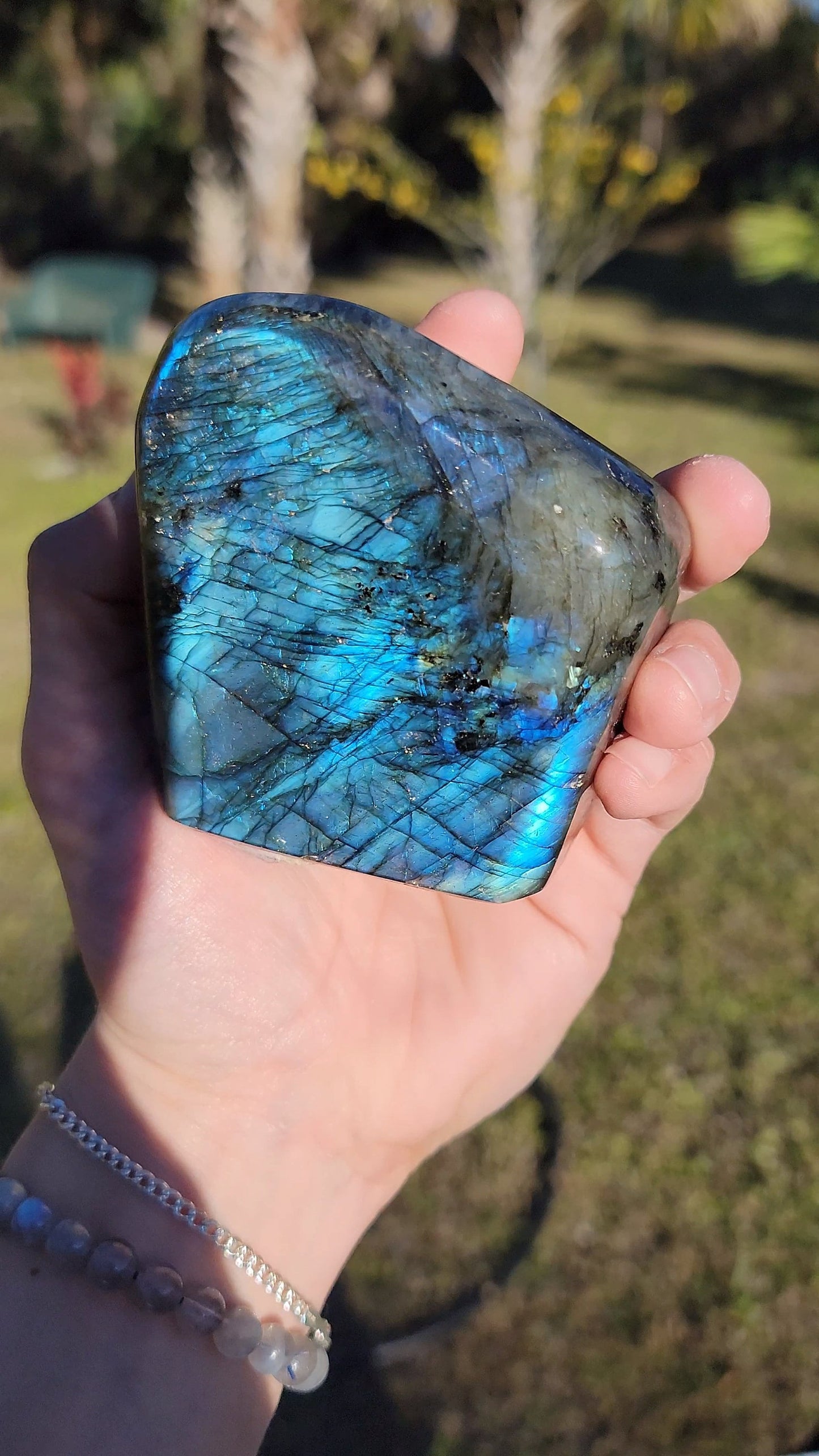 Impresionante Labradorita Azul Destello Forma Libre 21 oz Piedra Natural