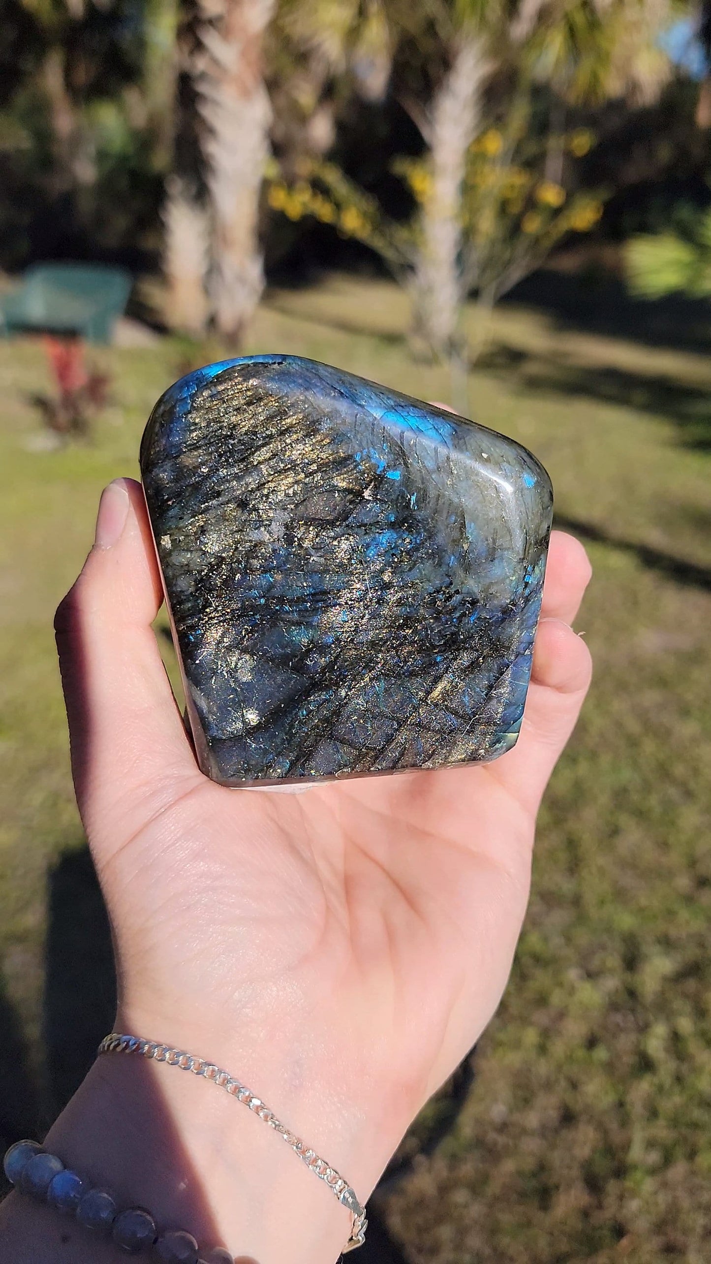 Impresionante Labradorita Azul Destello Forma Libre 21 oz Piedra Natural