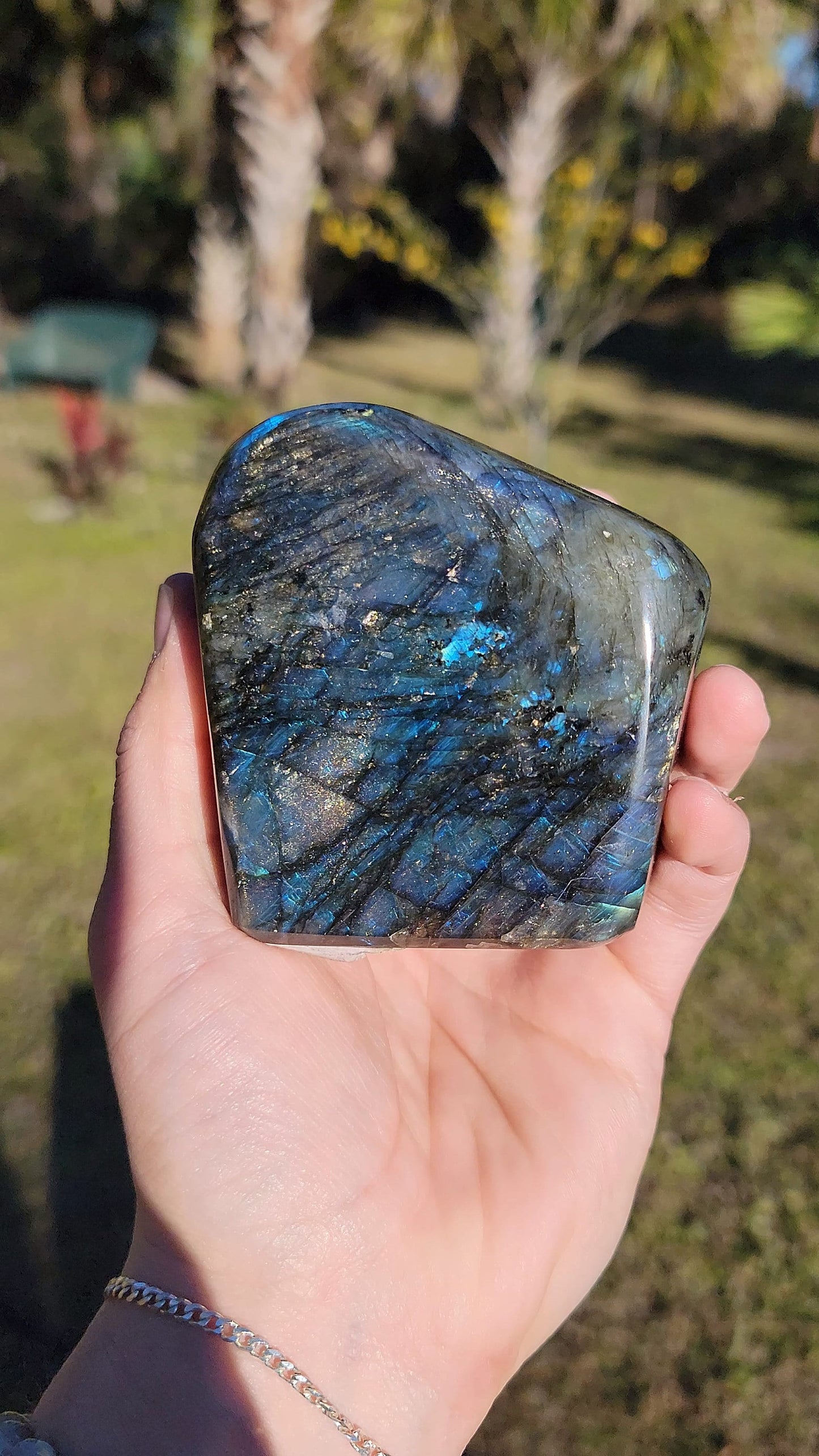 Impresionante Labradorita Azul Destello Forma Libre 21 oz Piedra Natural